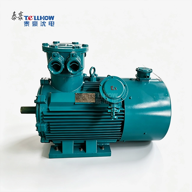 high voltage variable frequency flameproof motor